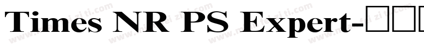Times NR PS Expert字体转换